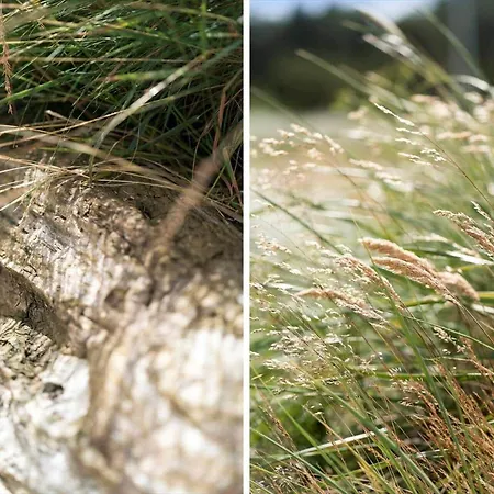 10112-ulfborg-gaffelbjergvej-74 Semesterbostad Øhuse